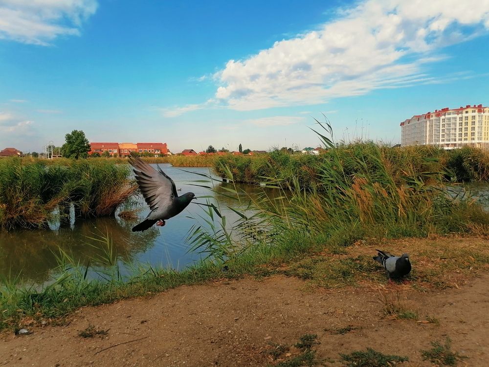 Photograph by Ирина Адлер