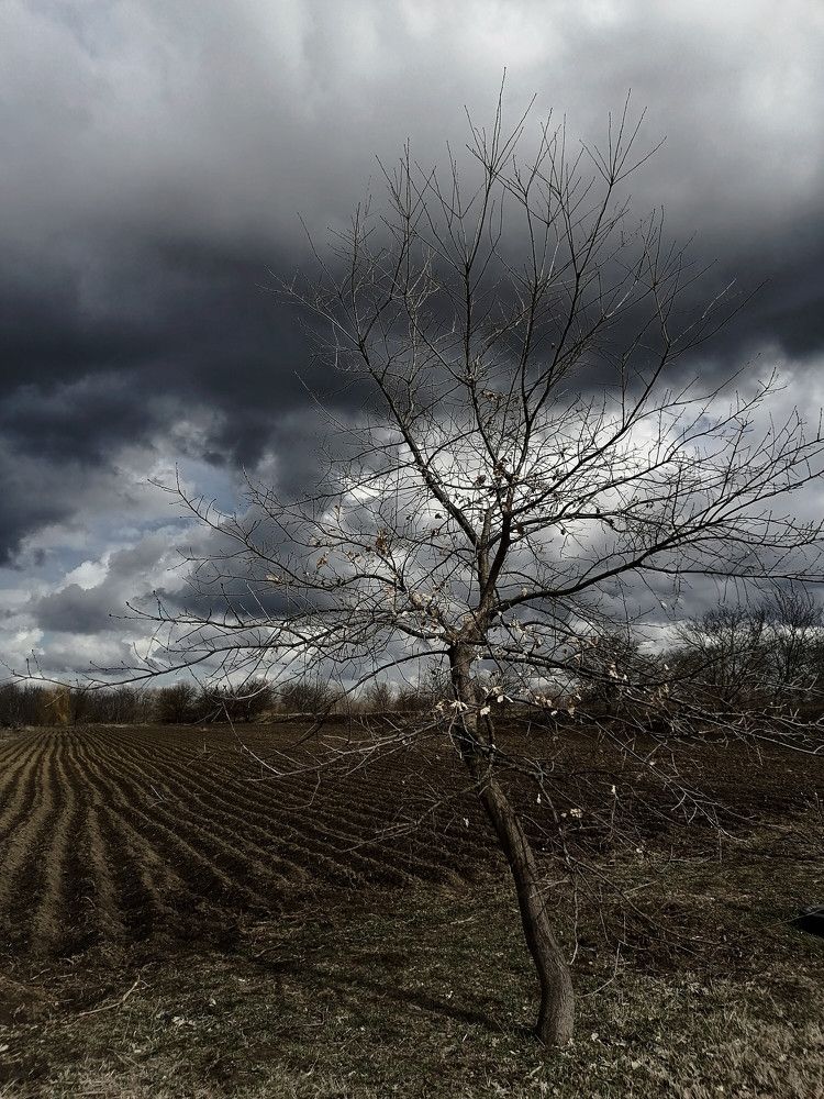 Photograph by Ирина Адлер