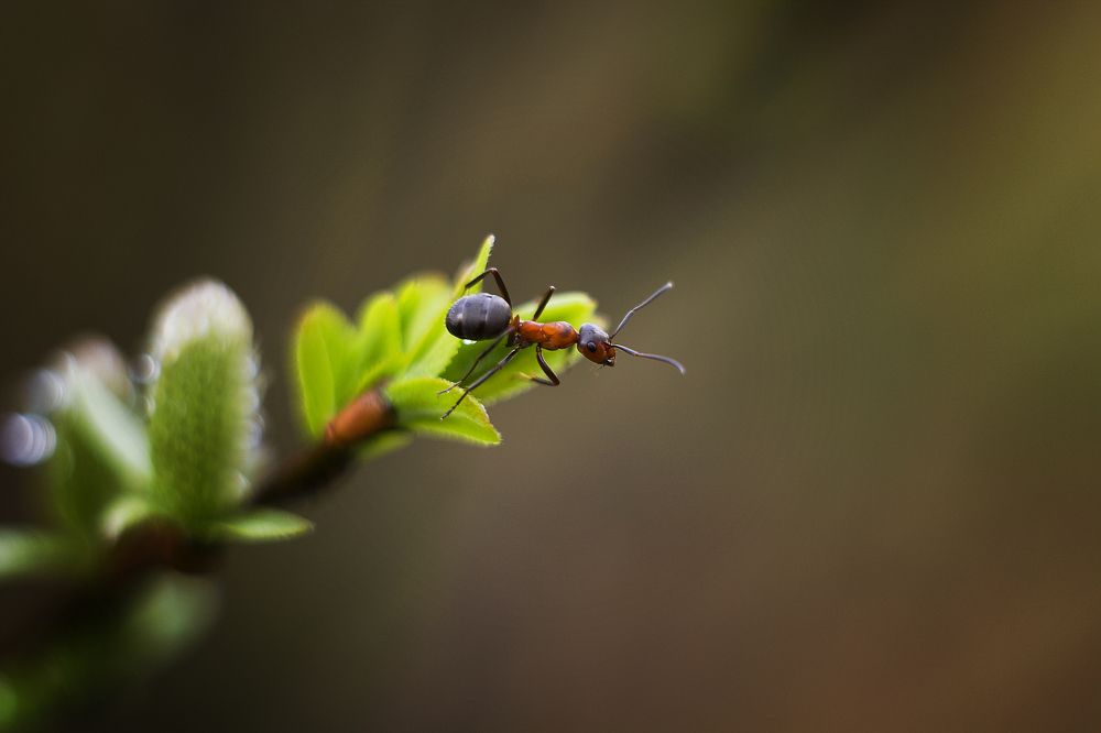 Photograph by Екатерина Мезенова