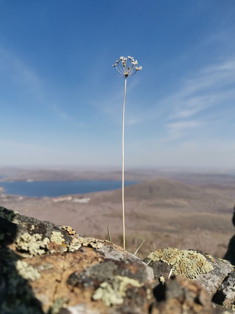 Photograph by Александра Барсукова