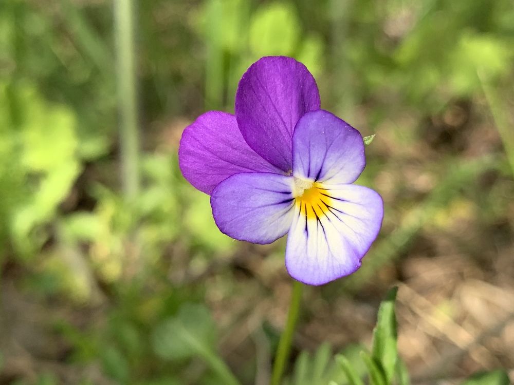 Photograph by Дмитрий Скрыльников