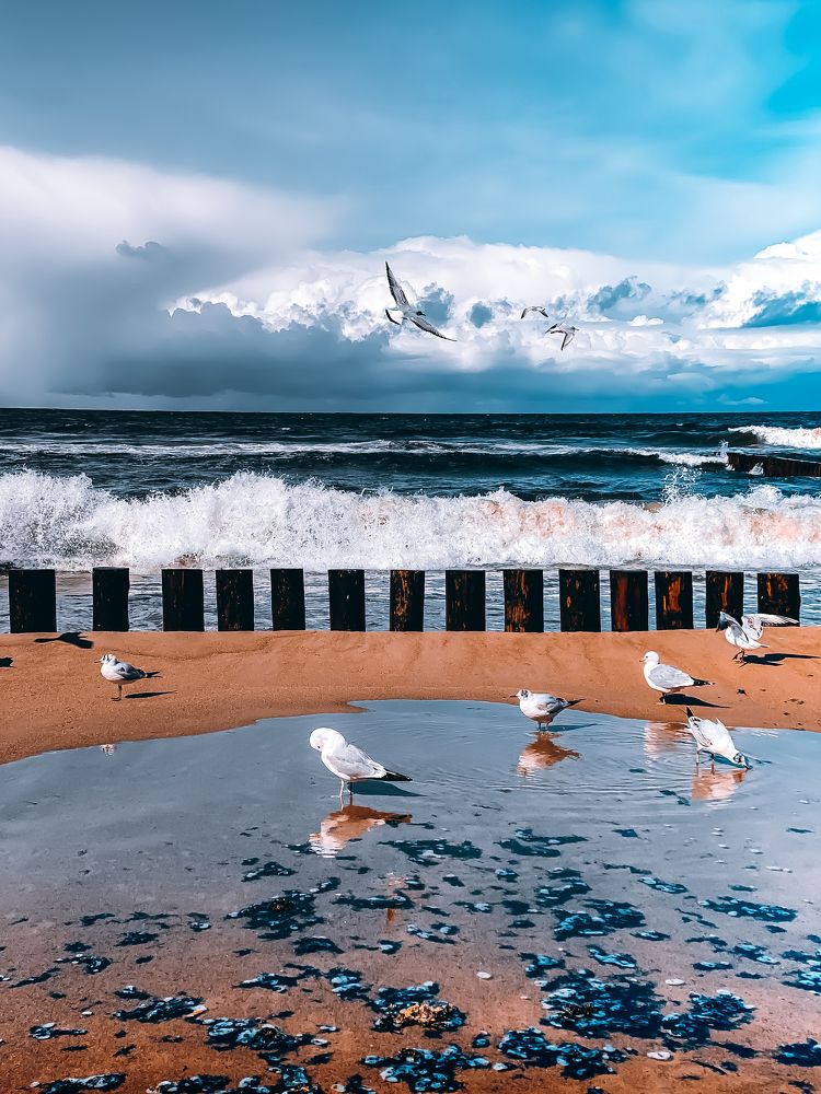 Photograph by Марат Болатханов