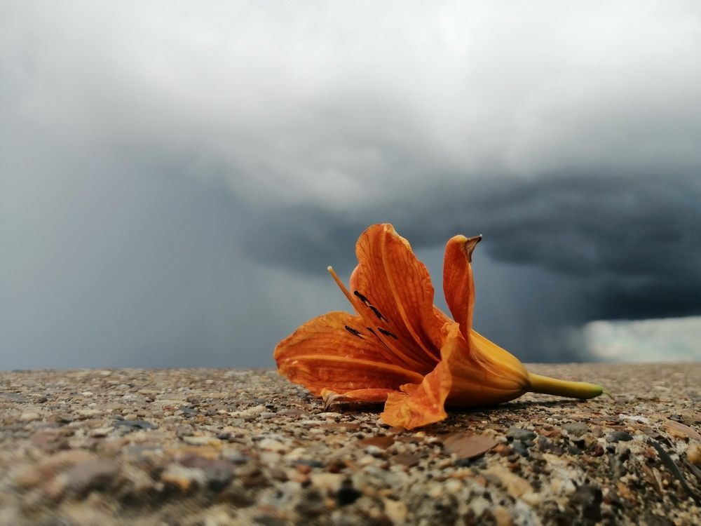 Photograph by Анна Петрова