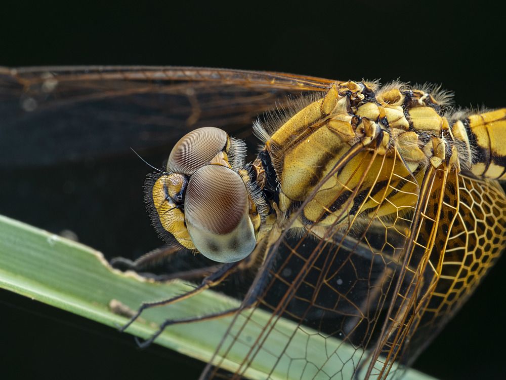 Photograph by Soon Teong Low