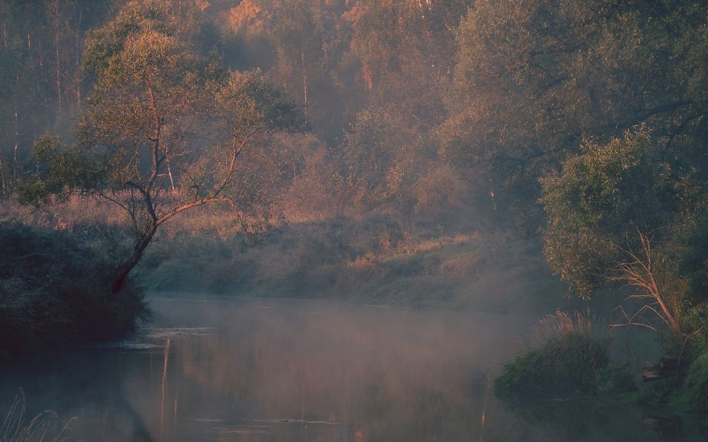 Photograph by Сергей Богданов