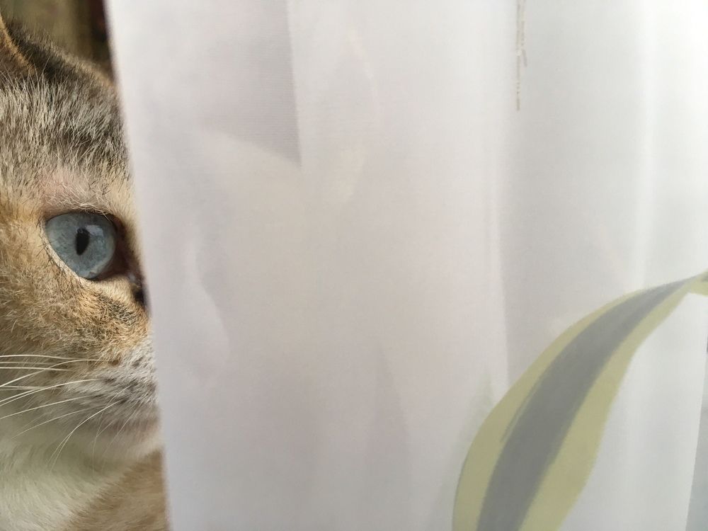 Photograph by Denis Chigintsev