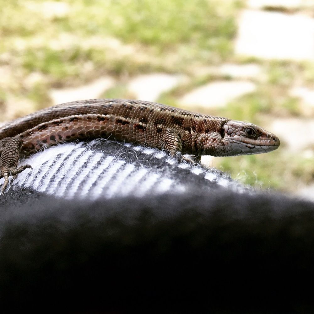 Photograph by Denis Chigintsev