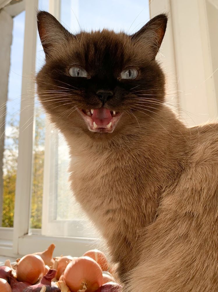 Photograph by Данила Мельников