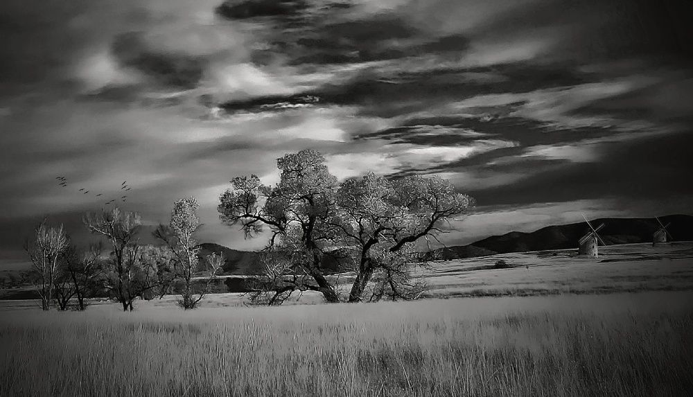 Photograph by Jaroslav Sameš