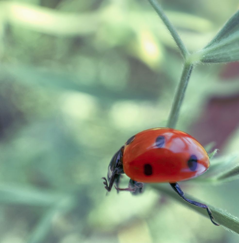 Photograph by Евгения Д