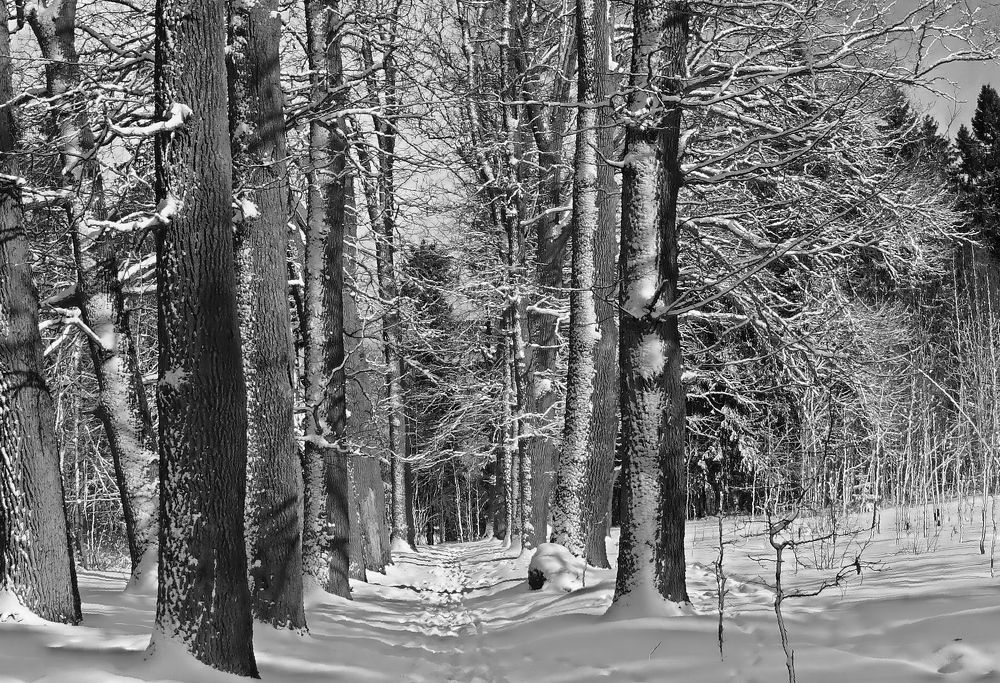 Фотография автора  Галина