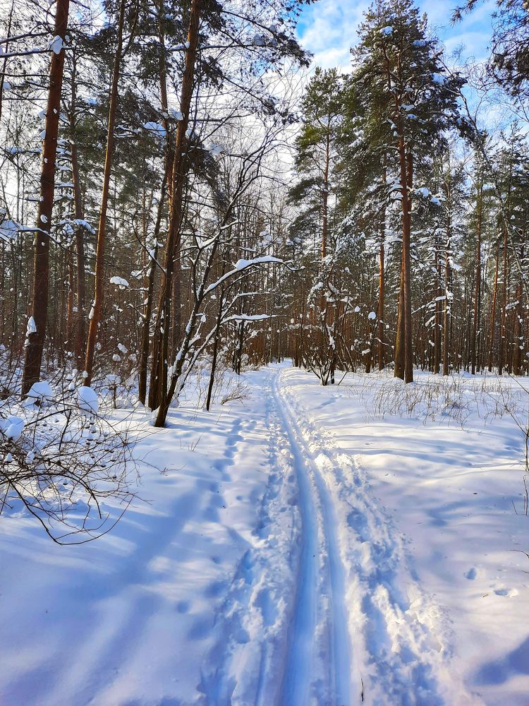 Photograph by Екатерина Казарцева