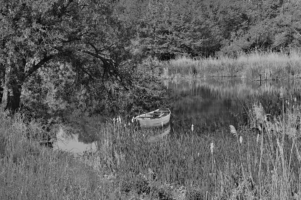 Photograph by Jaroslav Sameš