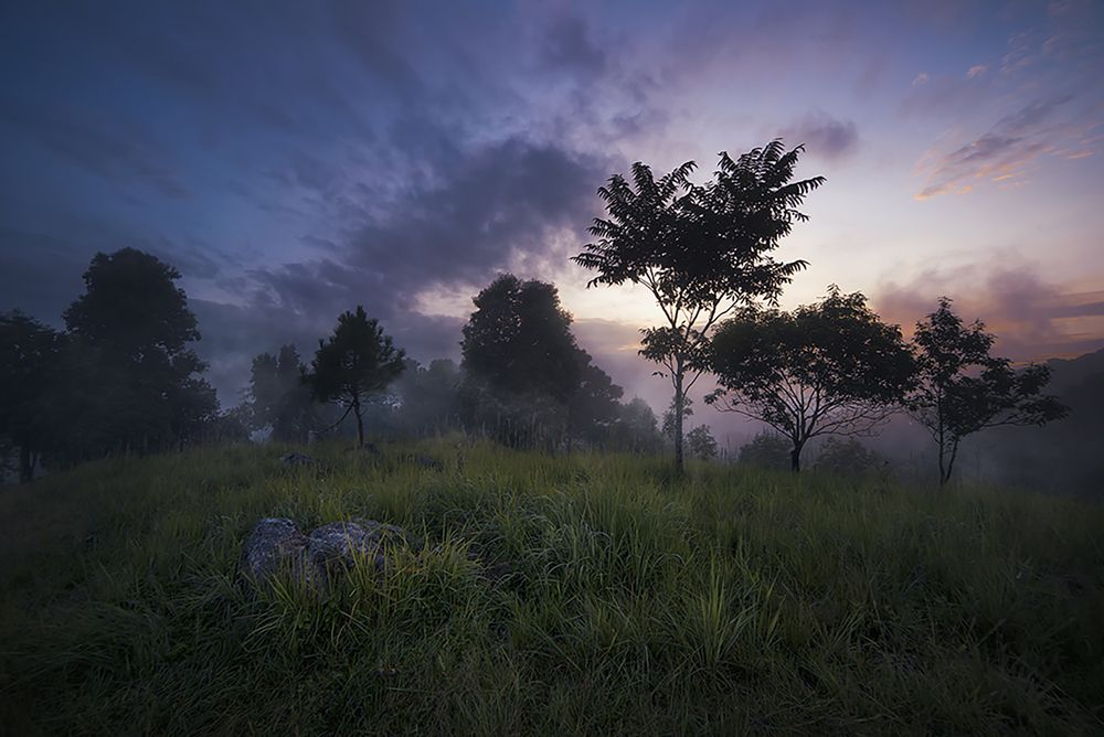 Photograph by Niranjan Baishya