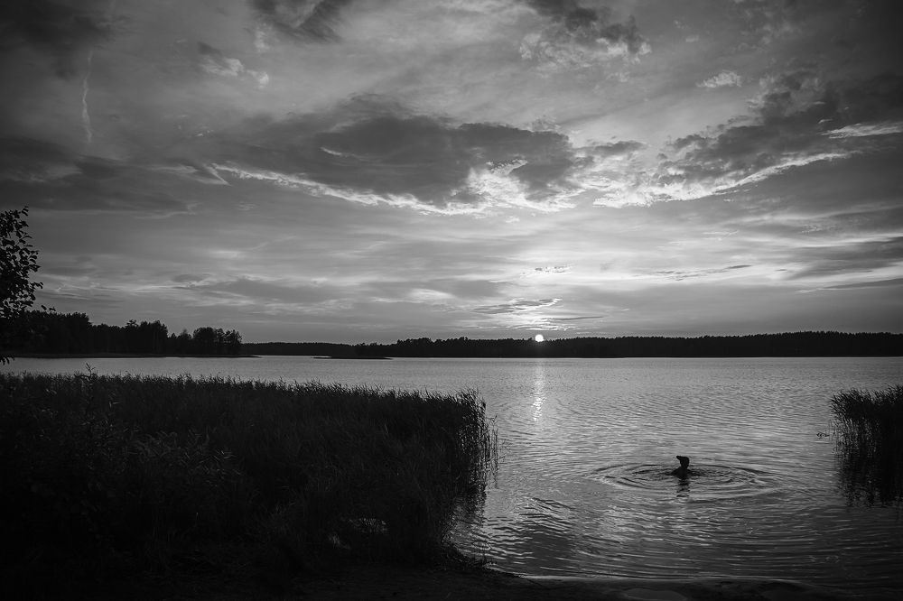 Photograph by Алексей Трифонов