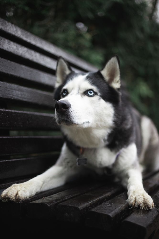 Photograph by Анна Дубровская