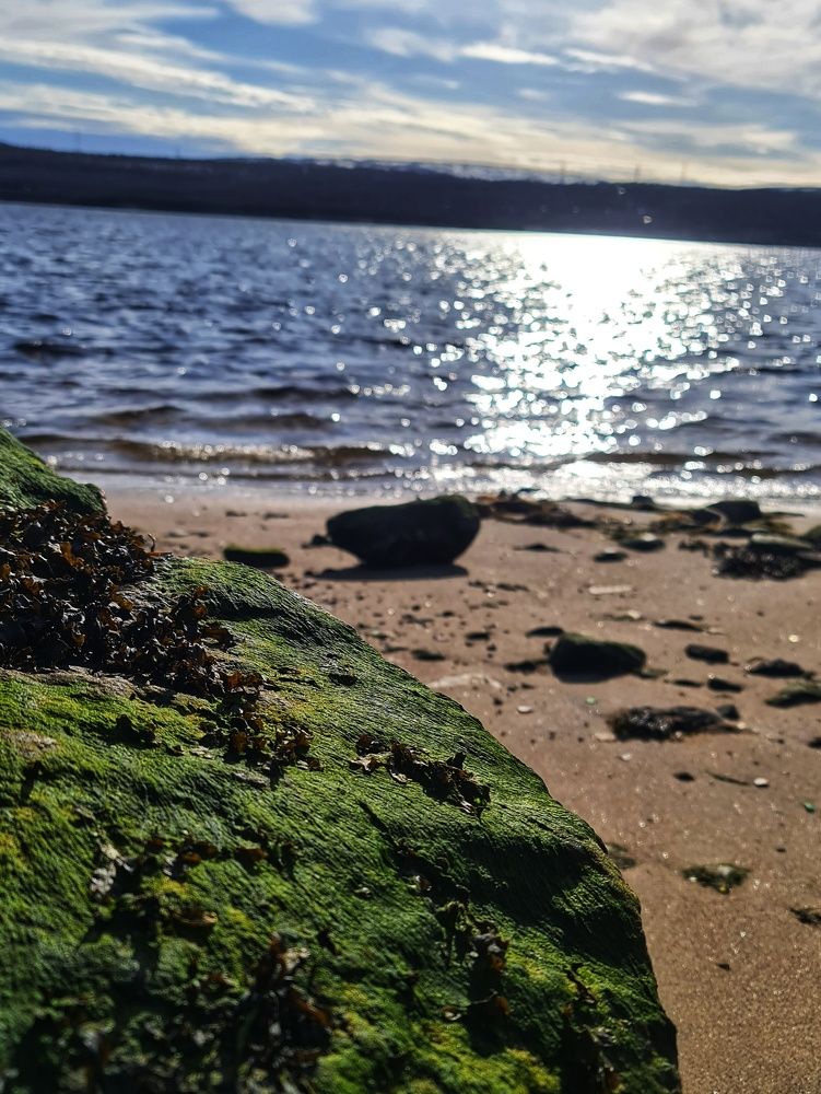 Photograph by Ekaterina