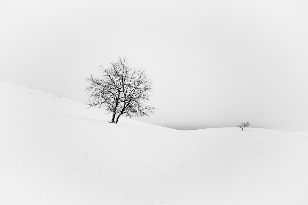 Photograph by senjor