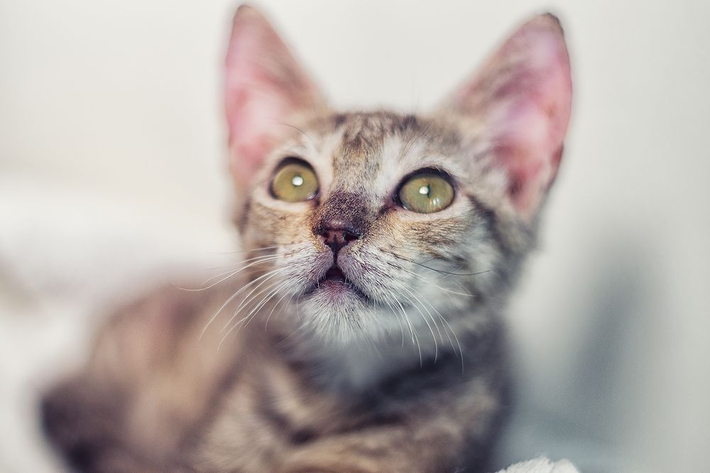 Photograph by Oxana Berezovskaya