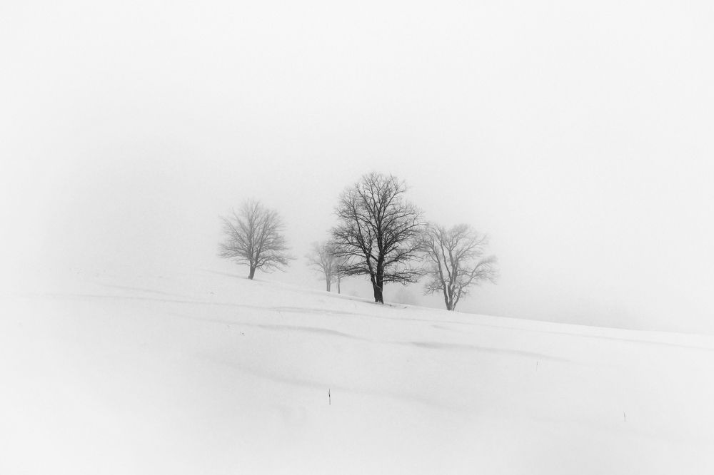 Photograph by senjor