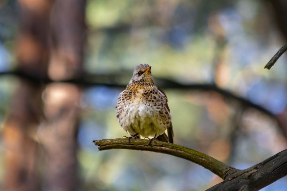Photograph by Дмитрий Тимин
