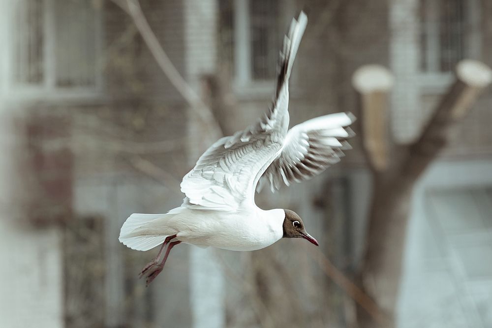 Photograph by Ирина Кооль