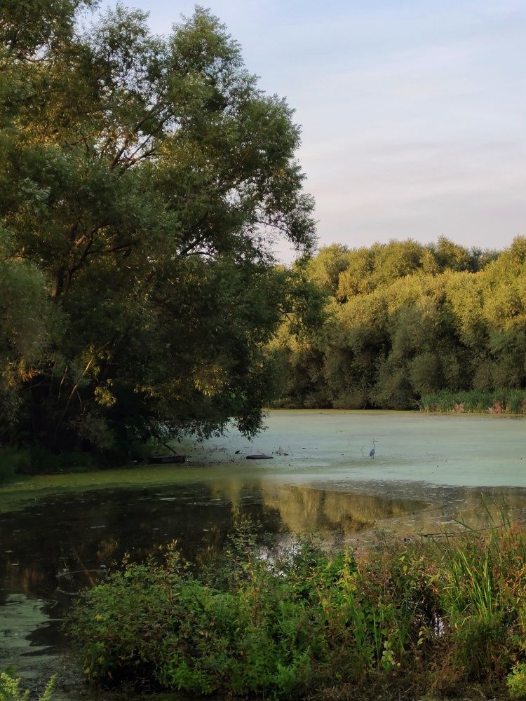 Photograph by Татьяна Аршинова