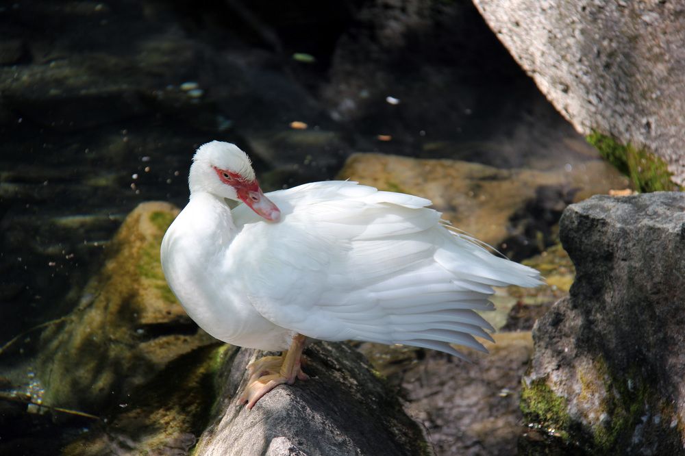 Photograph by Елена Титова