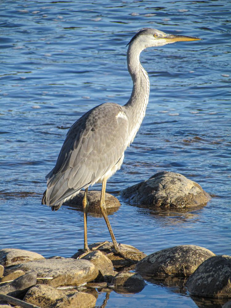 Фотография автора Александр Довганюк