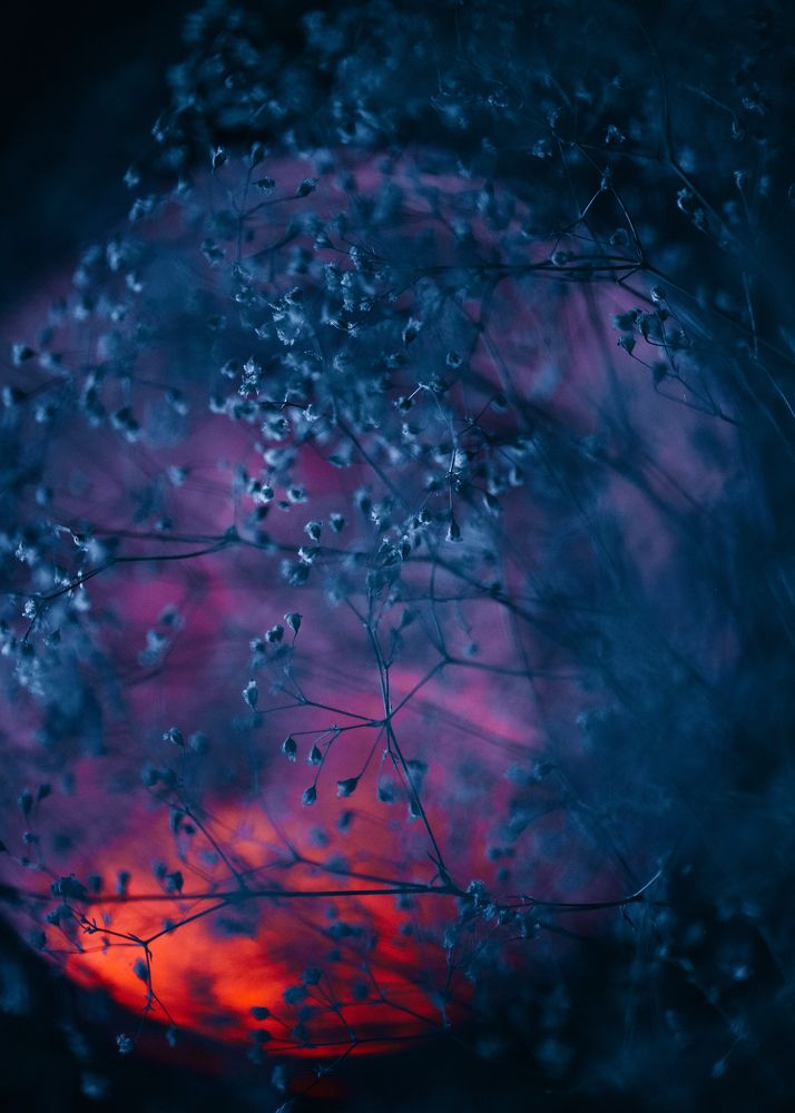 Photograph by bones German