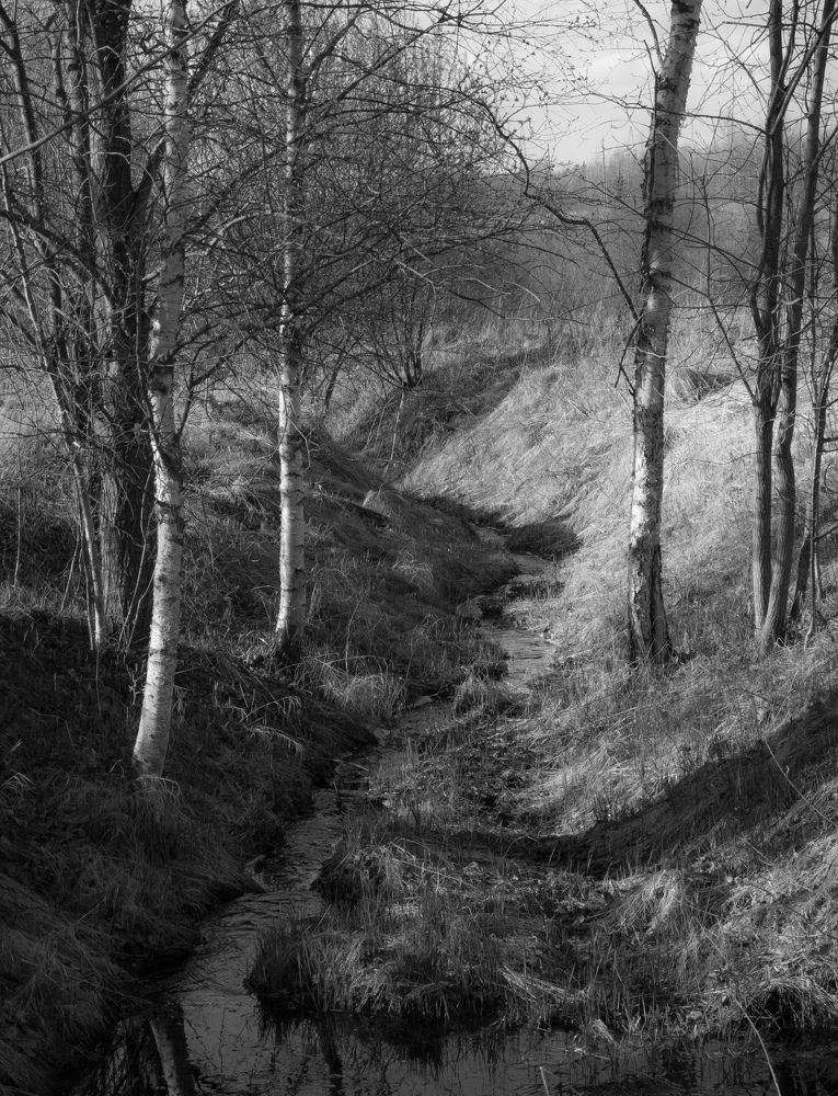 Photograph by Дарья