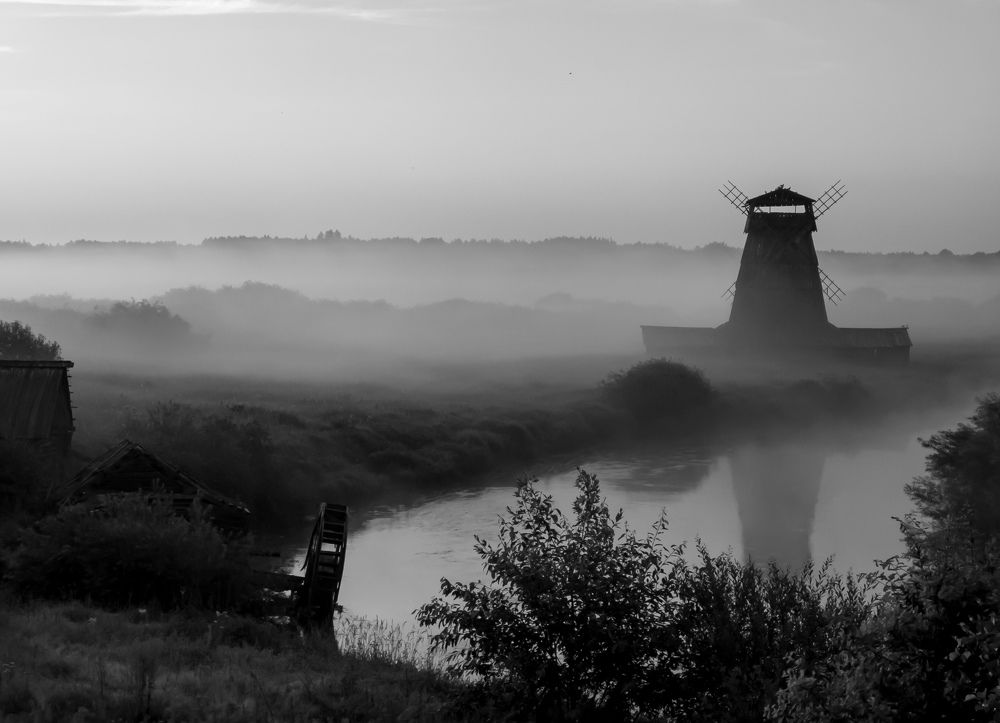 Photograph by Дарья