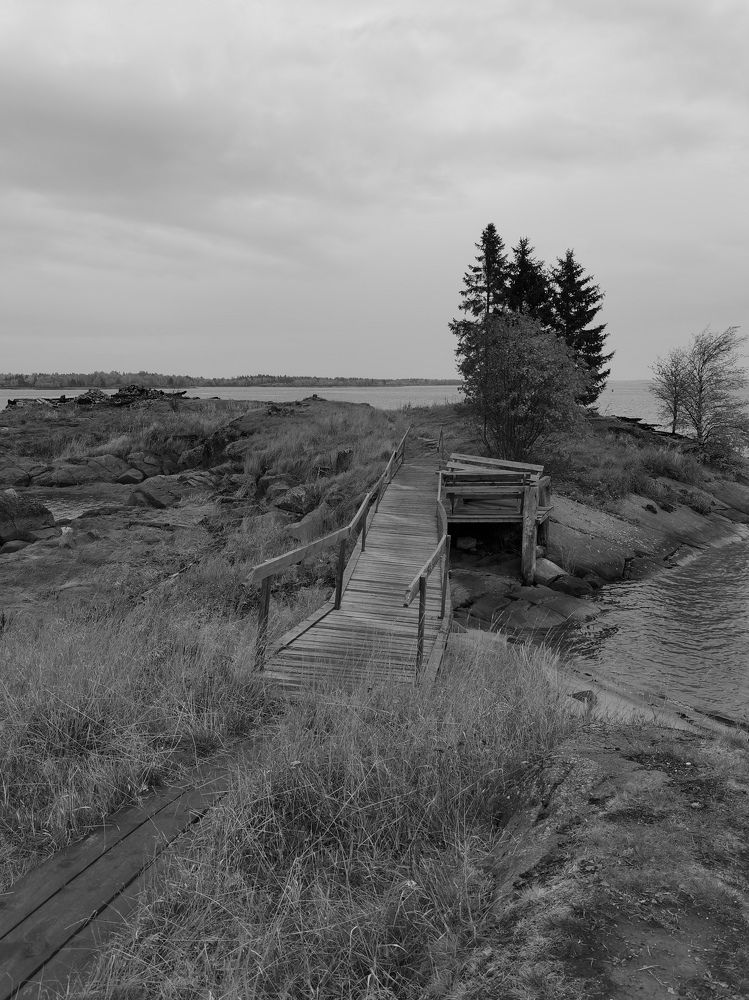 Photograph by Дарья