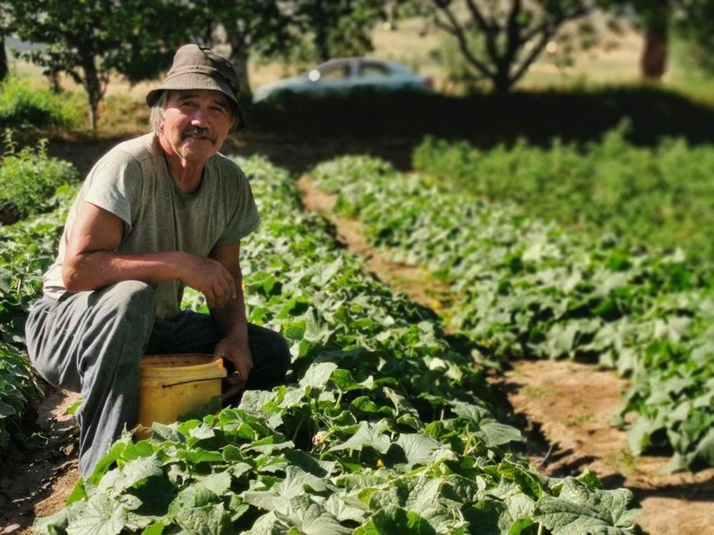 Photograph by Oleg Guchgeldiev