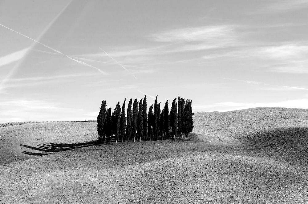 Фотография автора Людмила Прокофьева