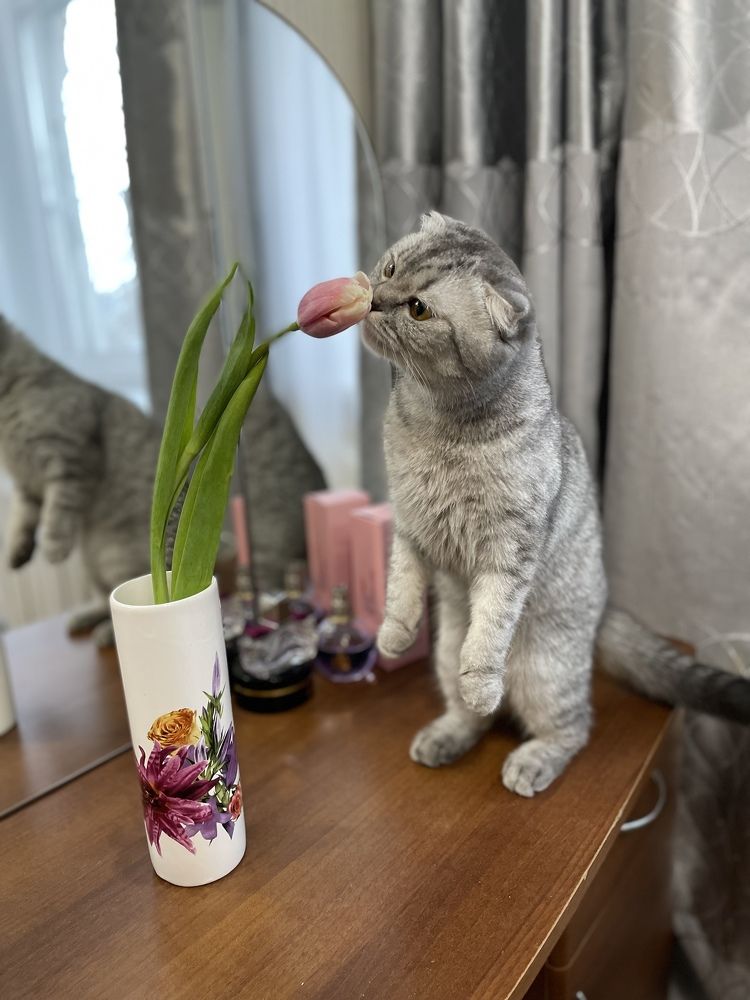 Photograph by Ольга Игумнова