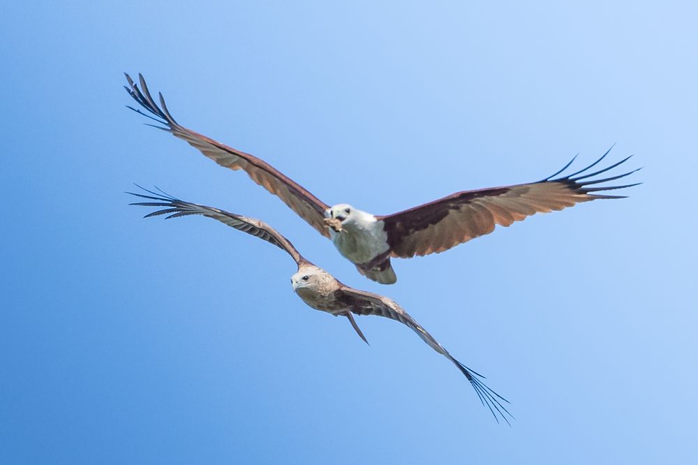 Photograph by Gimantha Perera