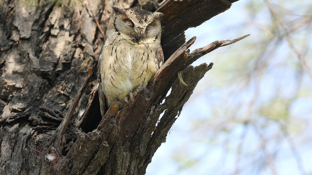 Photograph by VIVEK JOSHI