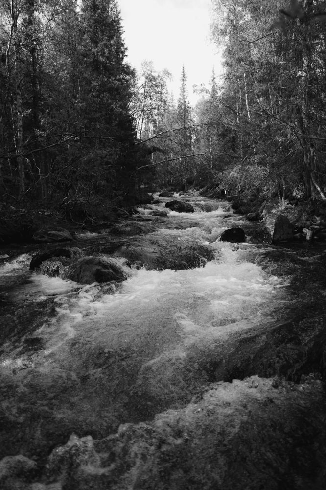 Photograph by Анна Дубровская