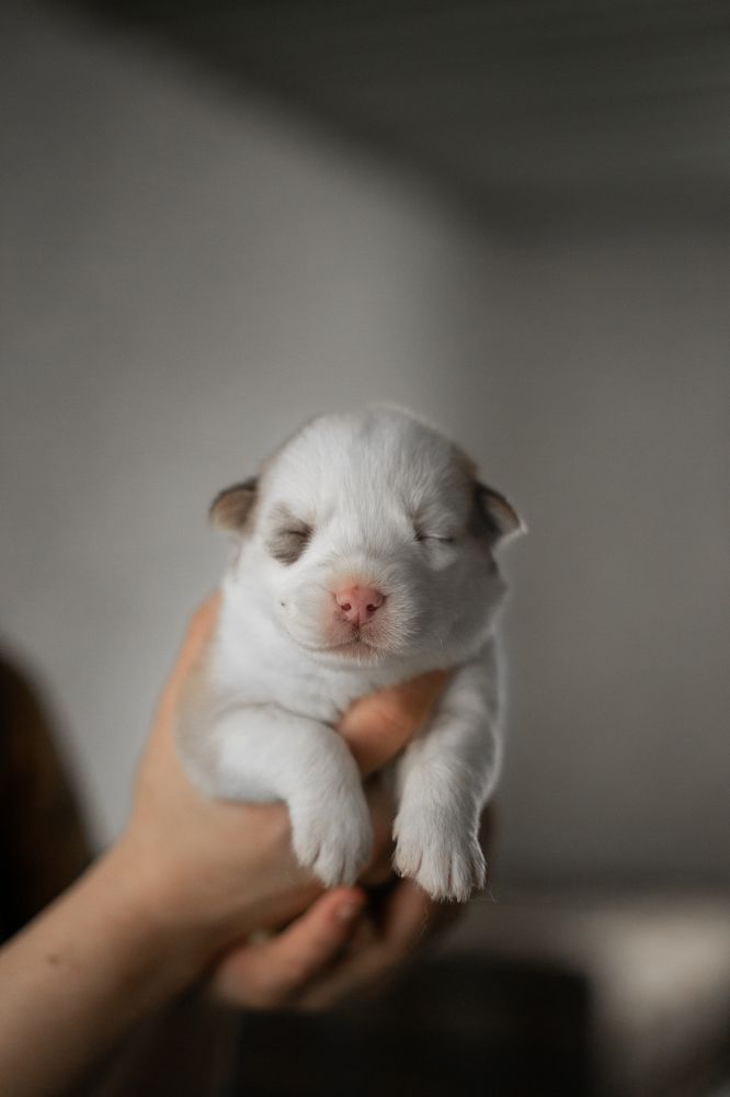 Photograph by Анна Дубровская