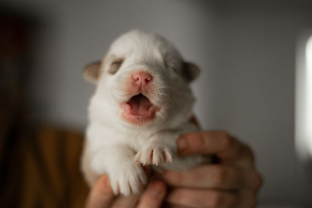 Photograph by Анна Дубровская