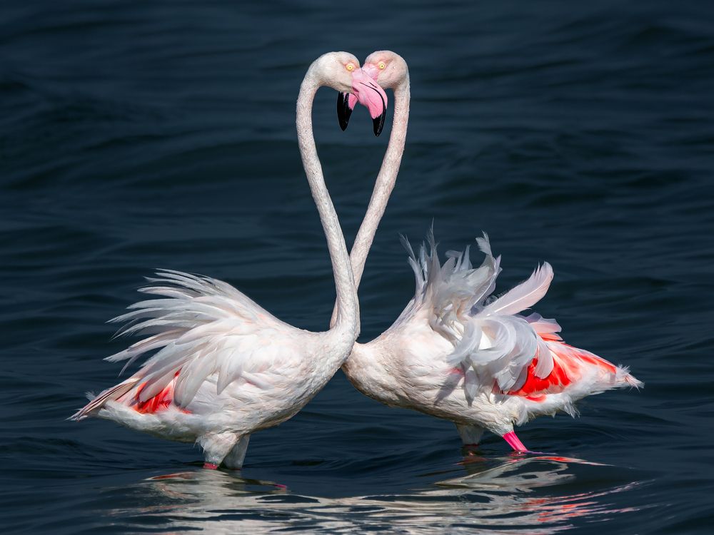 Photograph by Ahmed Elkahlawi