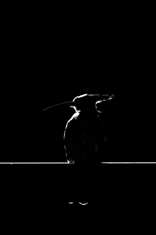 Photograph by Ahmed Elkahlawi