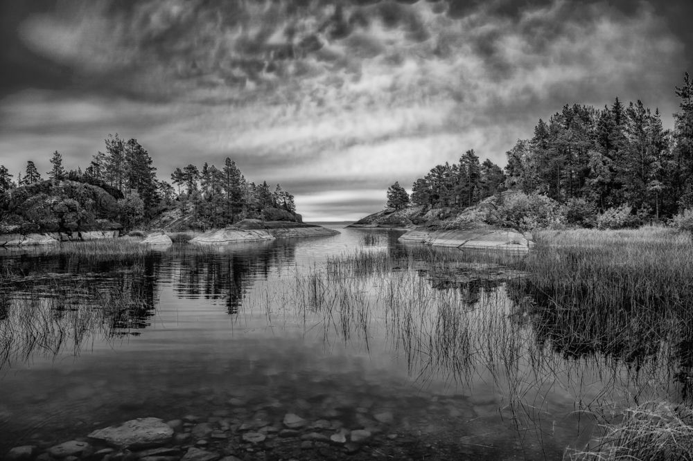 Photograph by Сергей Лазарев