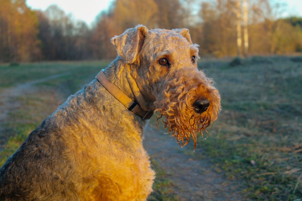 Photograph by Матвей Короткин