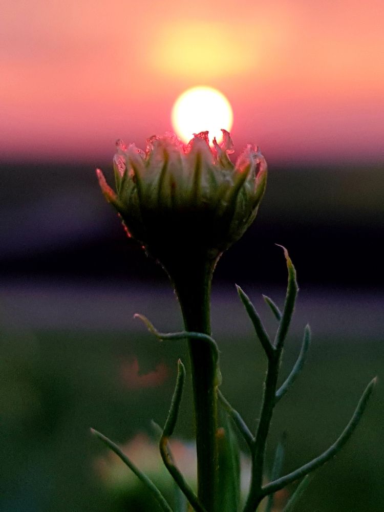 Photograph by Ильдар Гараев