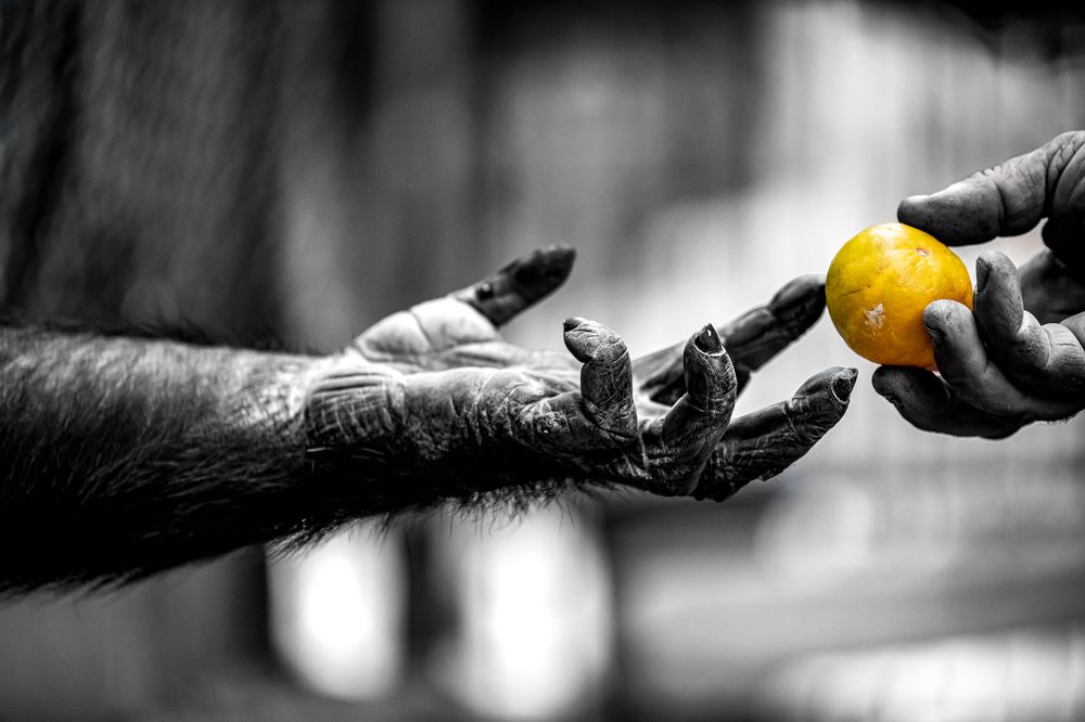 Photograph by Ahmed Elkahlawi