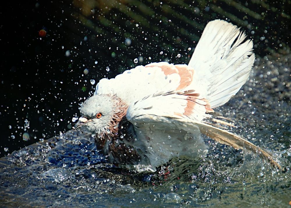 Photograph by Irina Radzinskaya