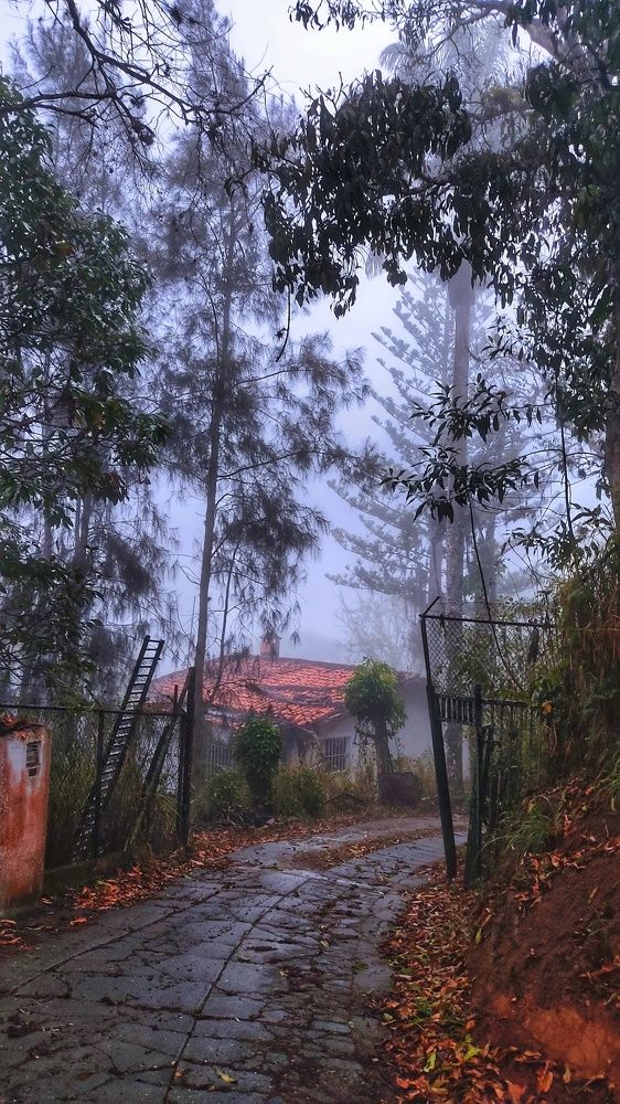 Photograph by Colmenarez nileydi