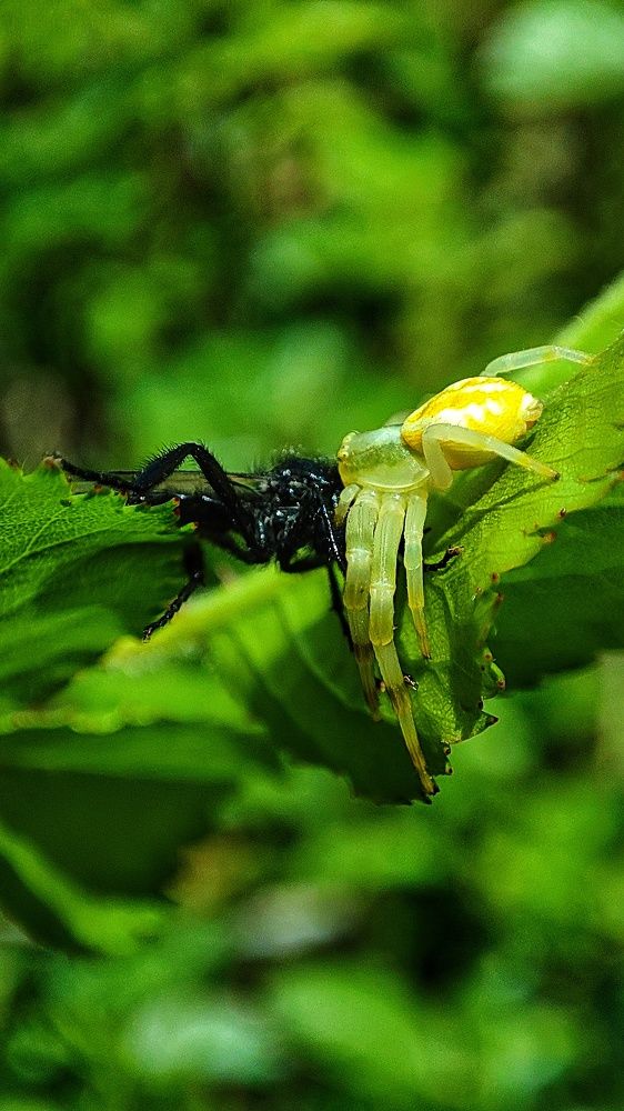 Photograph by Sherko Bahmani